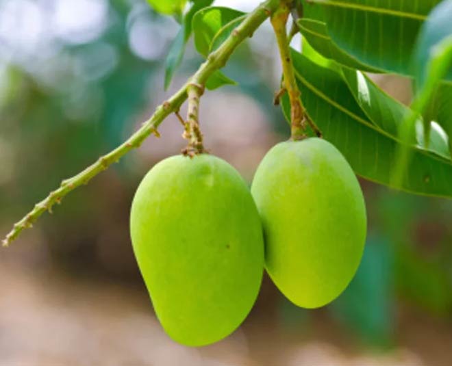 कच्चे आम का पानी home remedies to cure heatstroke in summer inside