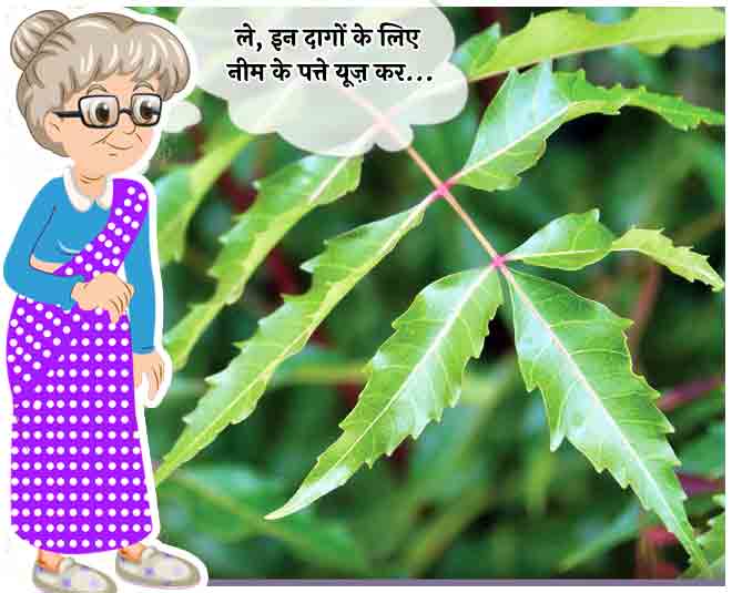 neem leaves to cure chicken pox in