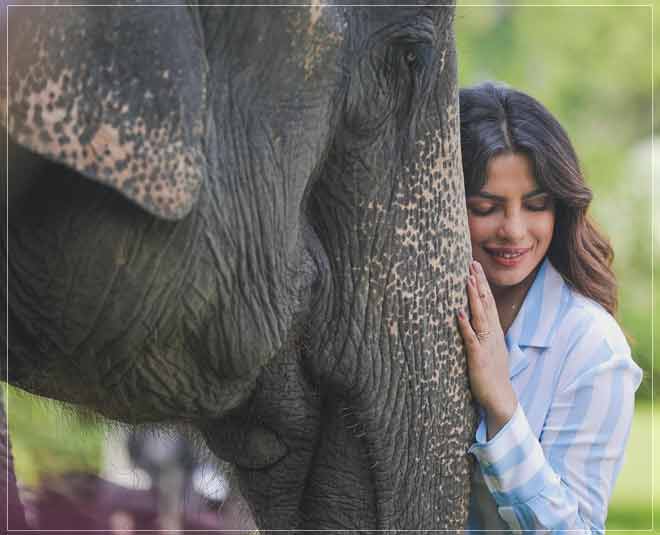 priyanka chopra in assam danced on bihu inside 