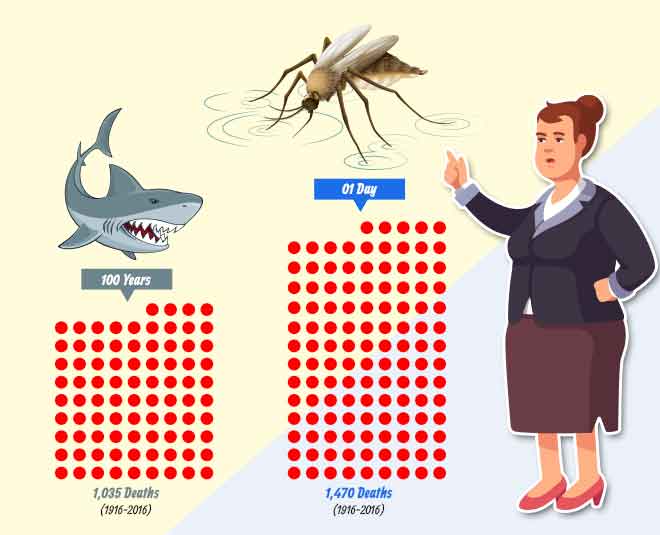 shark mosquito bill gates inside 