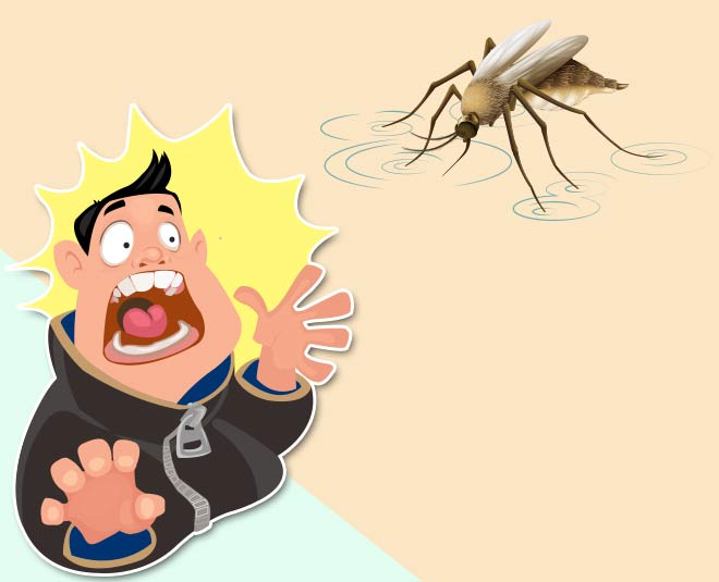 shark mosquito bill gates inside 