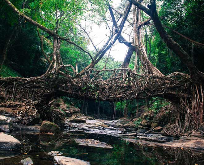 Mawlynnong, Meghalaya
