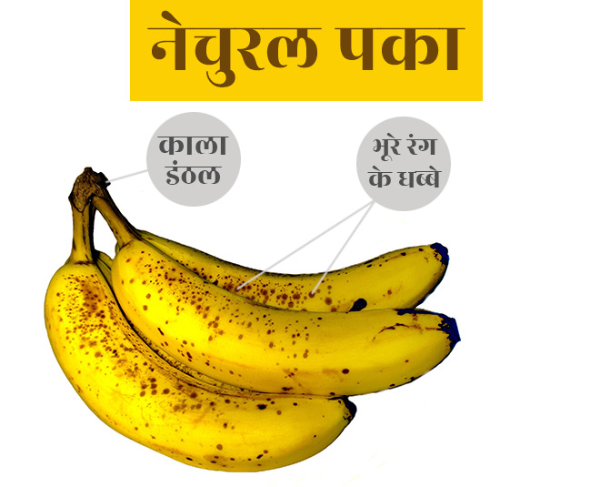 chemical banana health inside