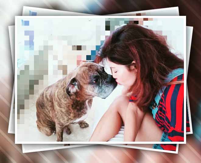 debina  bonerjee animal lovers 