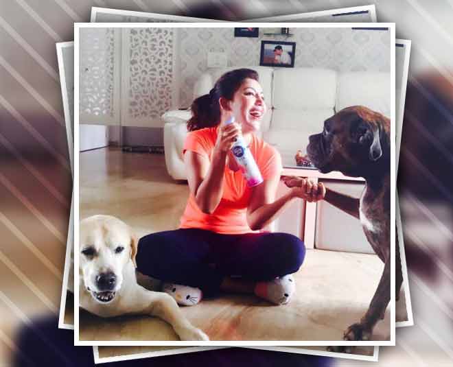 debina  bonerjee animal lovers 
