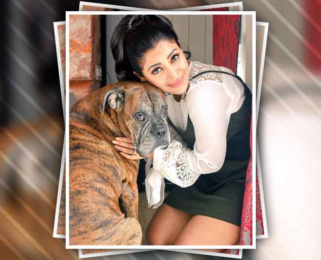 debina  bonerjee animal lovers 
