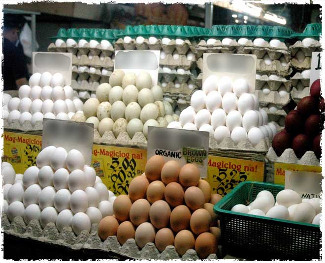 fake or real egg inside