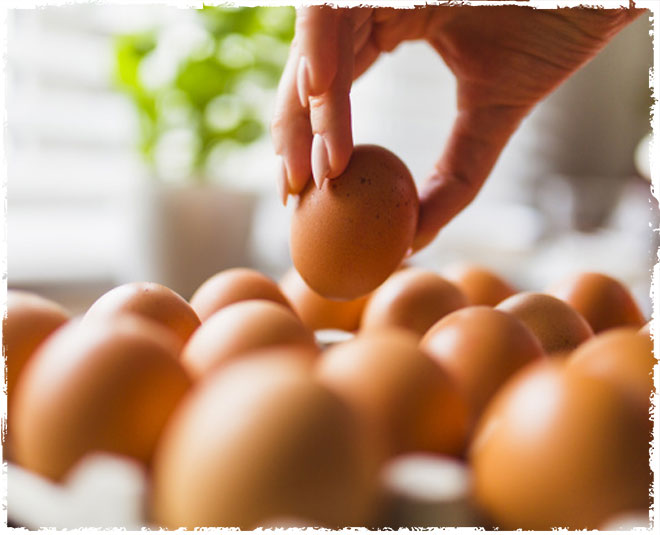 fake or real egg inside