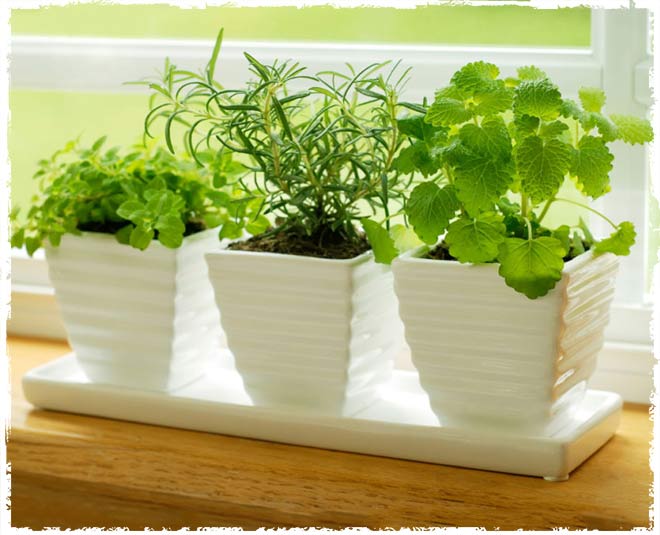 fengshui tips inside