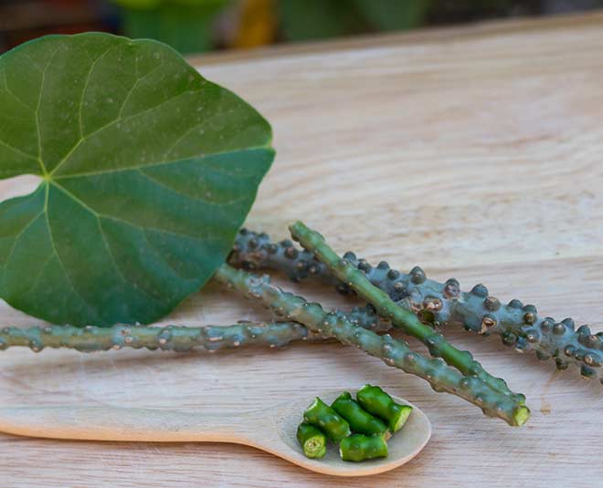 giloy viral fever inside