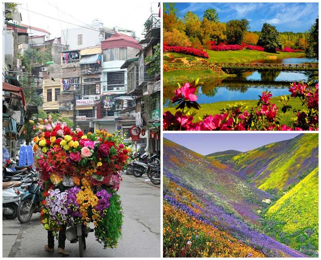 irctc kashmir travel package 