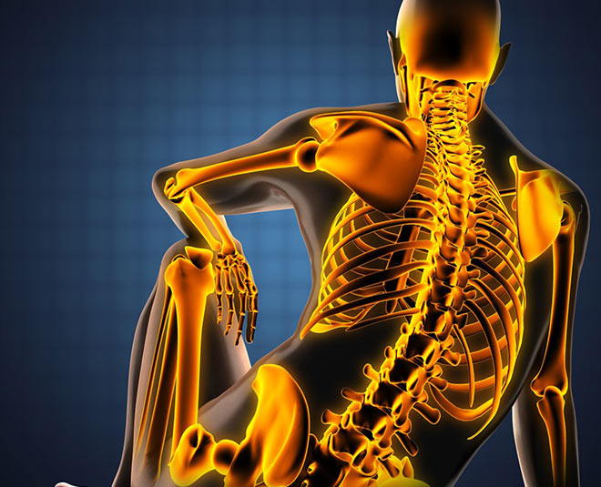 lauki prevents osteoporosis