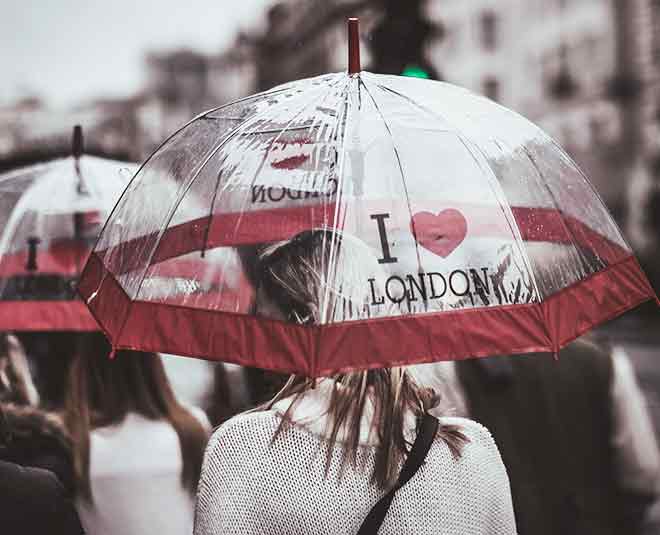 see through  umbrella 