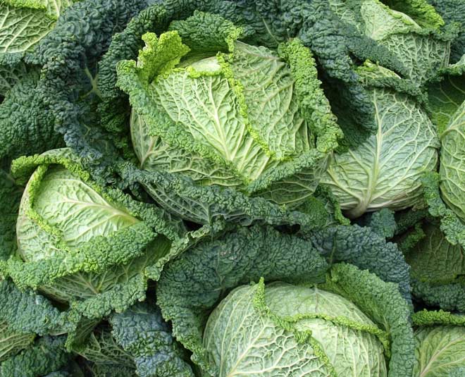 tips to wash green vegetables in rainy season inside 