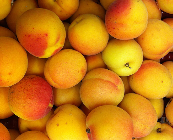 Fresh Apricots Constipation at Hilda Whitehead blog