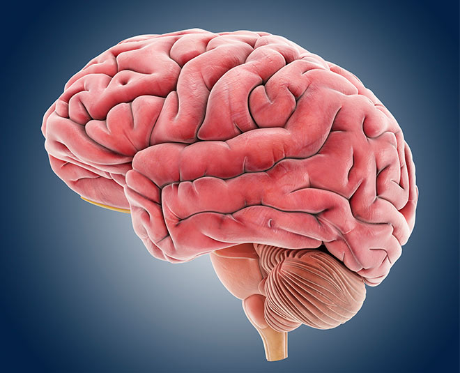 badam rogan in nose insdie