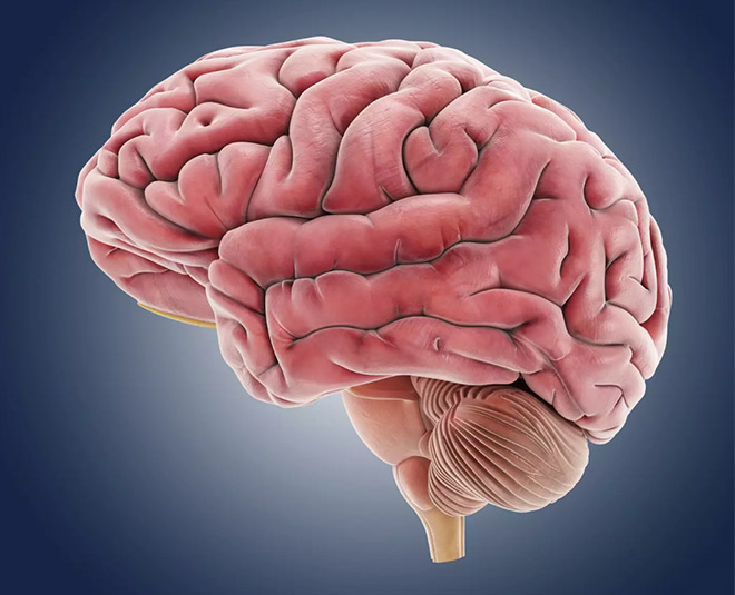 smartphone and kids card ()