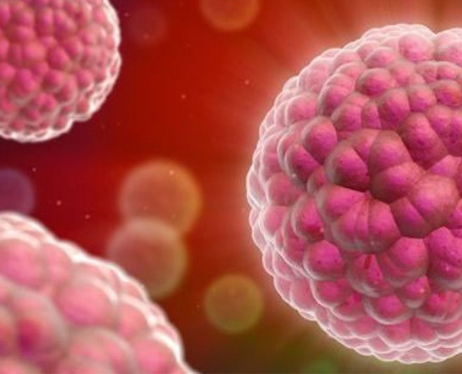 targeted therapy for breast cancer inside