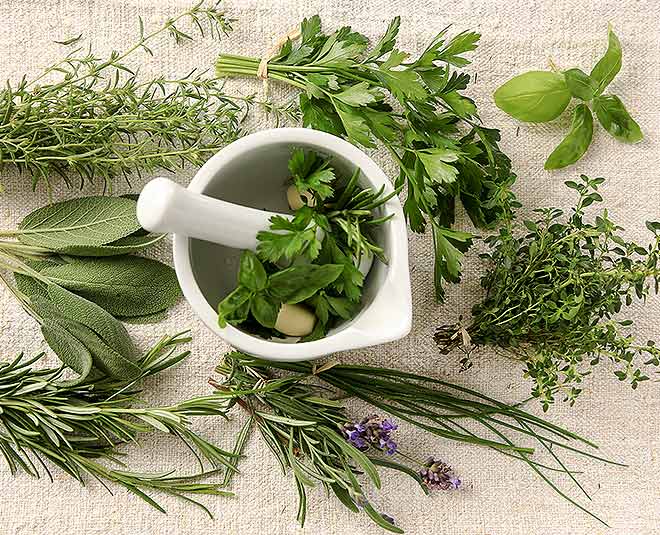 wonder herbs for health main