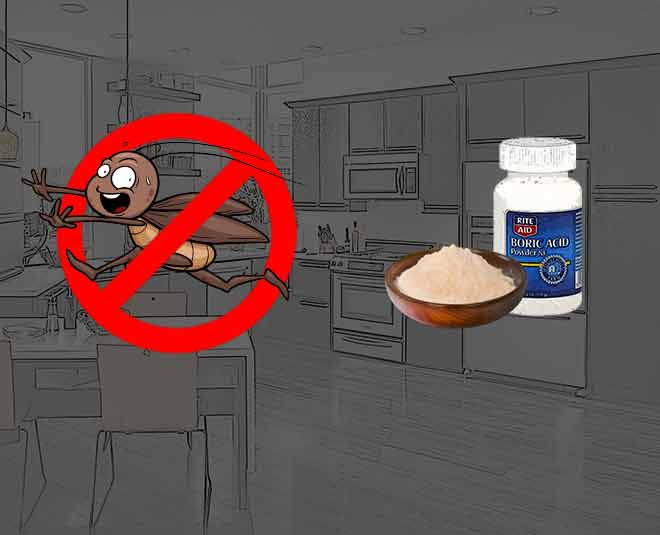 बोरिक पाउडर से कॉकरोच होंगे क्लीन बोल्ड Boric acid Cockroaches free Kitchen