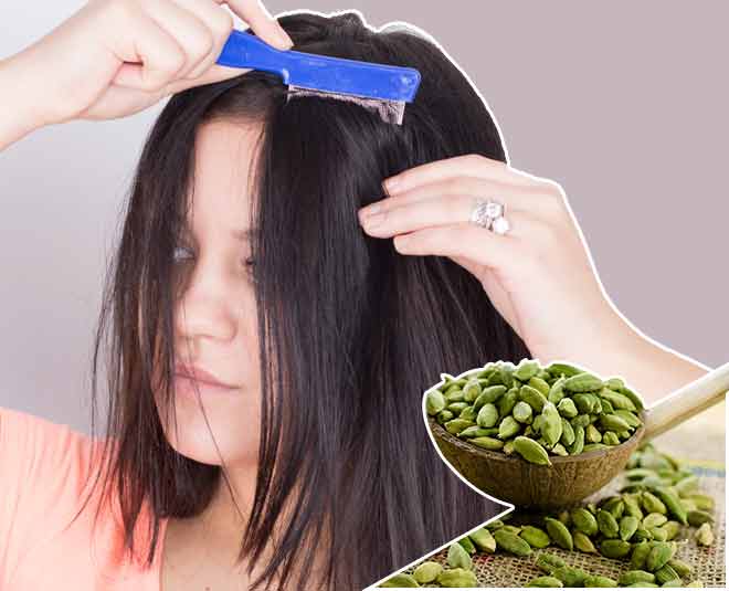 Cardamom beauty benefits scalp infection