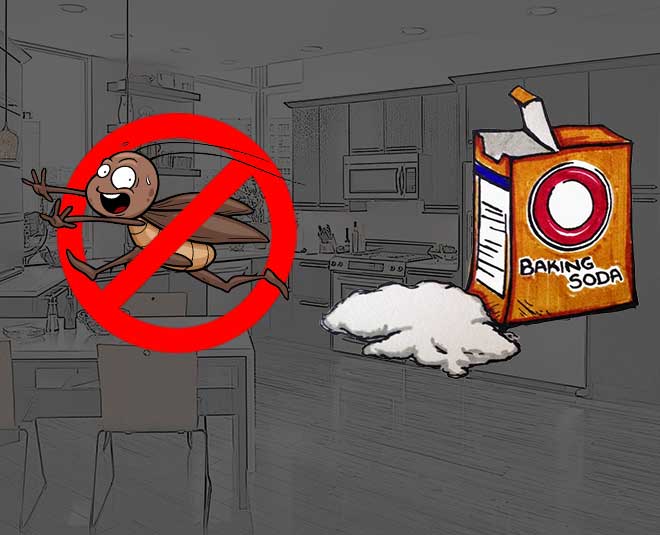 बेकिंग सोडा है कॉकरोच के लिए जहर Cockroaches free Kitchen baking soda