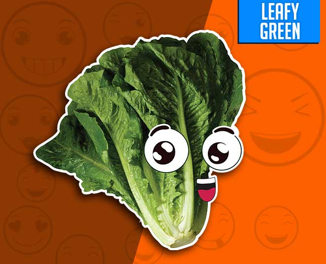 हरी सब्जियां (Leafy Green) Leafy green food emoji