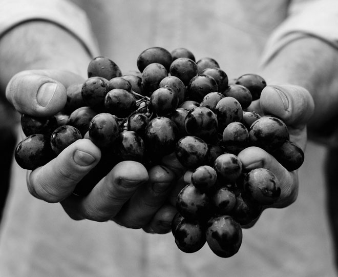 grapes for depression  ()