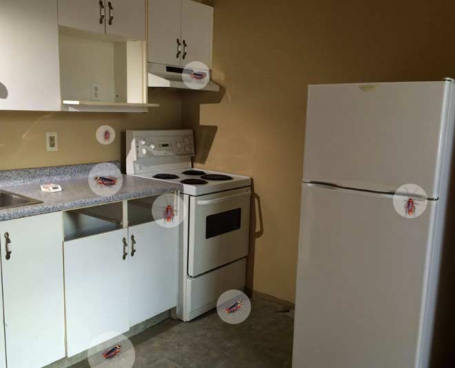 kitchen Cockroach vastu dosh home INSIDE 