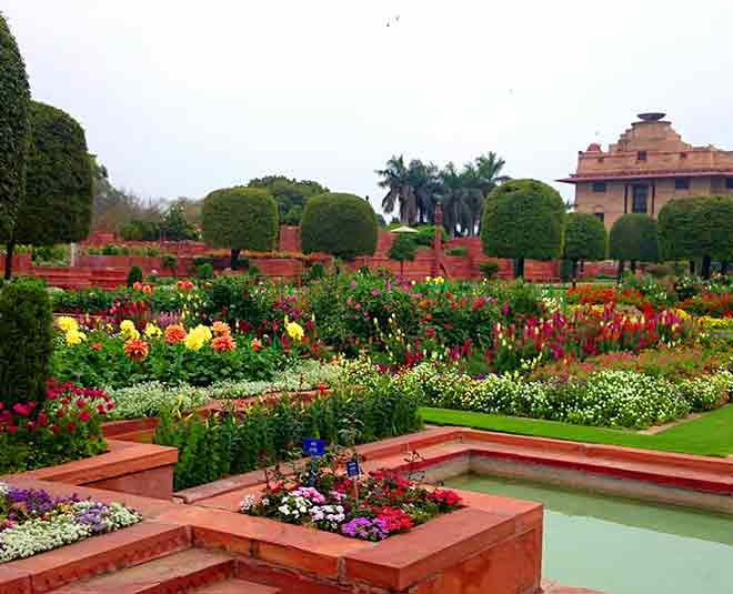 mughal gardan  ()