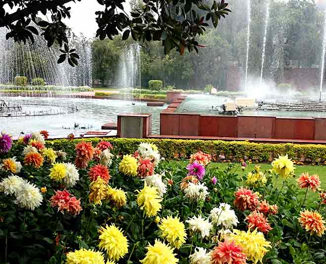 mughal gardan  ()