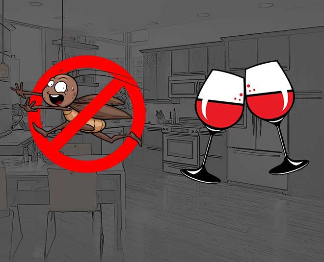 कॉकरोच पर चढ़ेगा रेड वाइन का कहर red wine Cockroaches free Kitchen