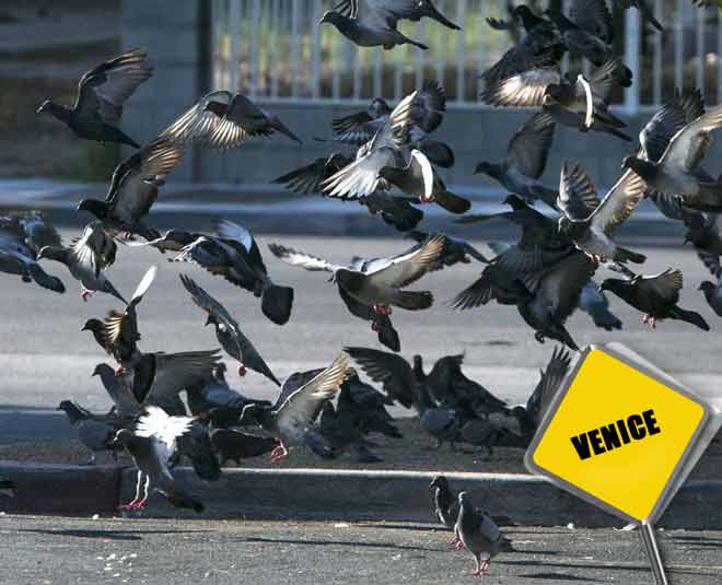 these countries have weired laws  ()