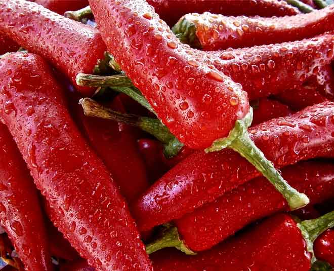 weight loss metabolism red chilli