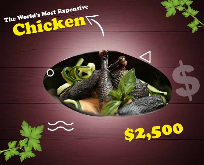 world most expensive black chicken