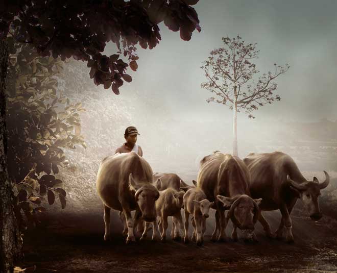 your personality is reflected by your holiday favorite village