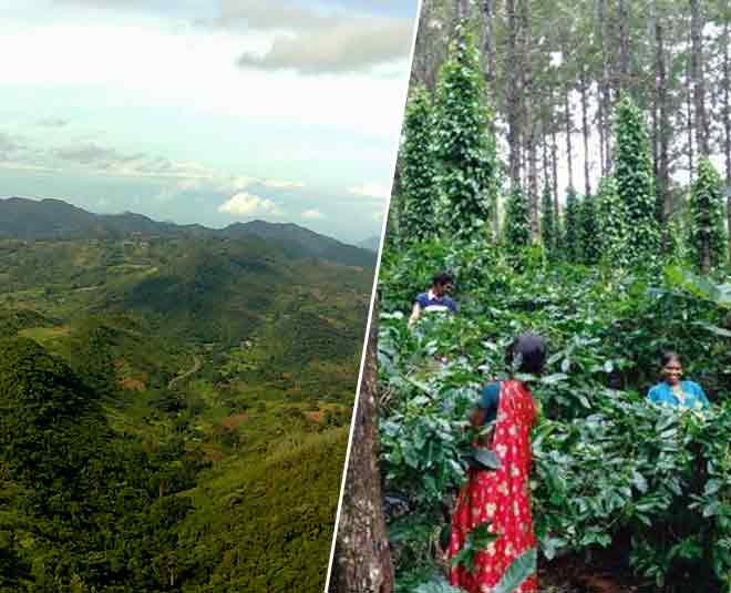 Araku Valley Famous For Coffee Inside 