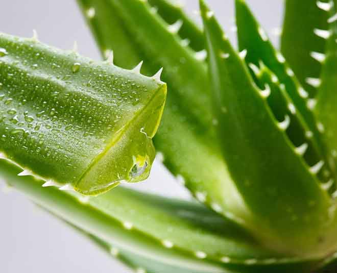 facial mask to cure your dry skin beauty inside