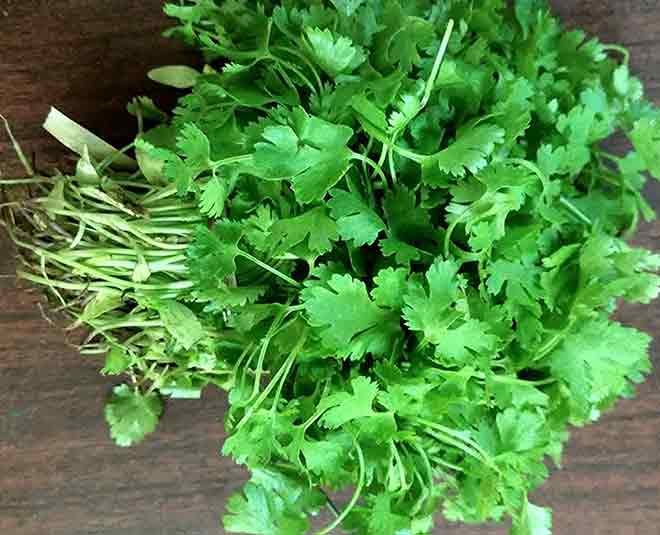 green coriander health