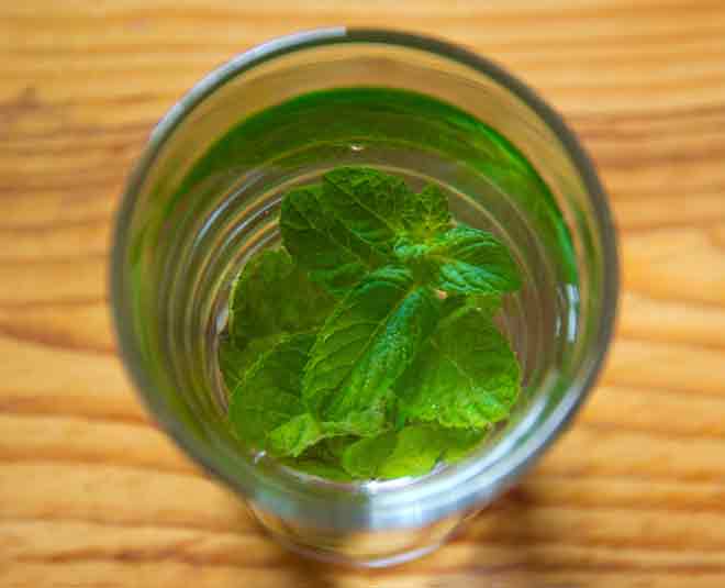 green tea health fitness inside