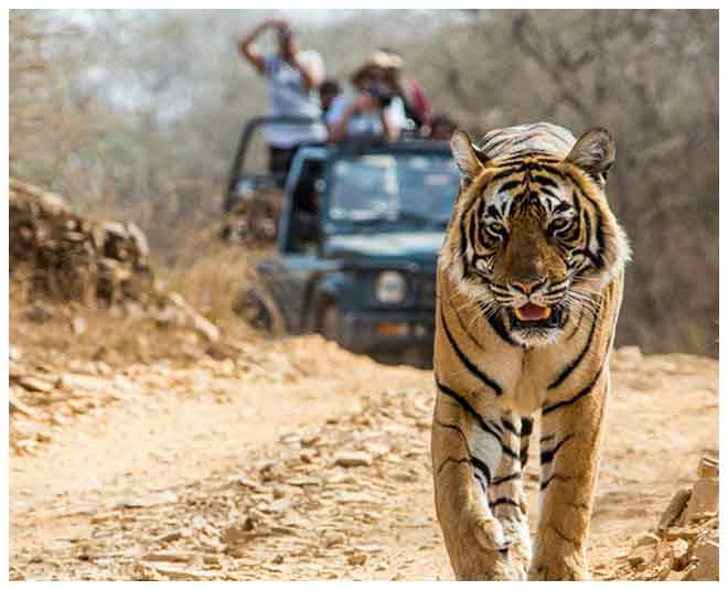 jim corbett park