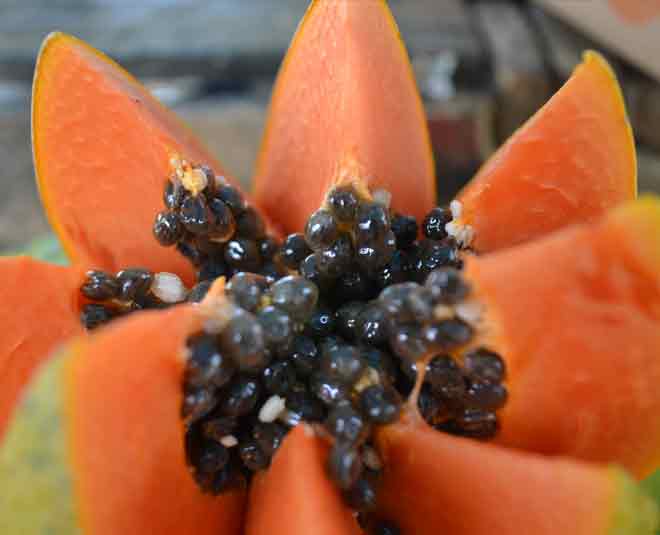 pregnancy papaya health inside