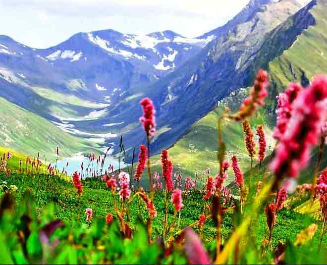 valley of flowers