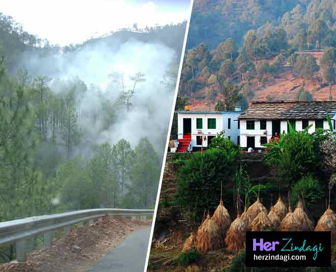 binsar destination nanda devi national park