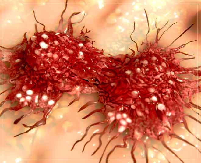 cancer cure health ()