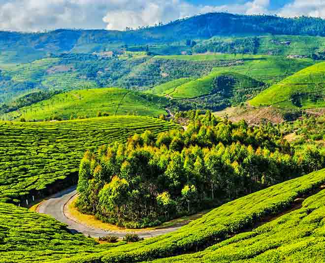 coonoor