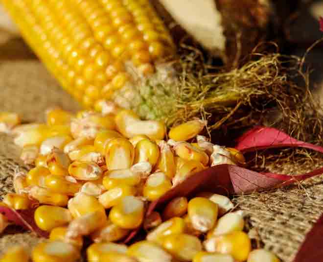 corn benefits food