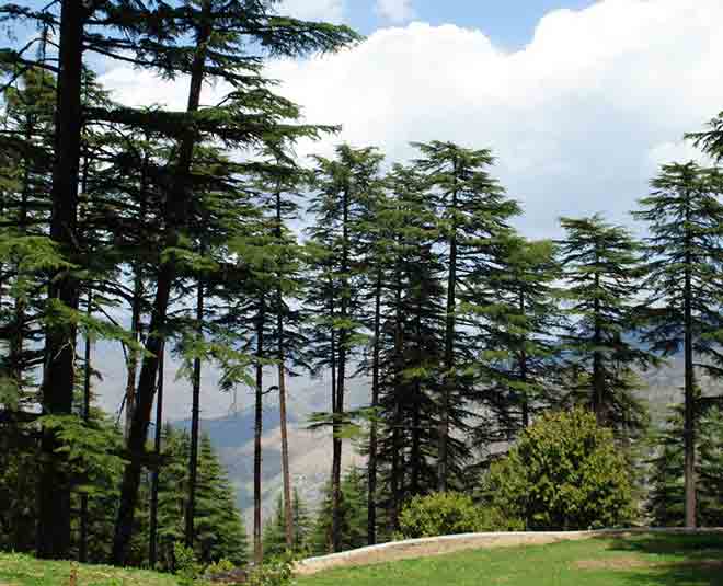 dhanaulti