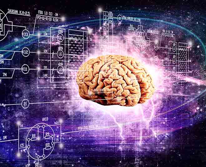 ginger for brain health inside