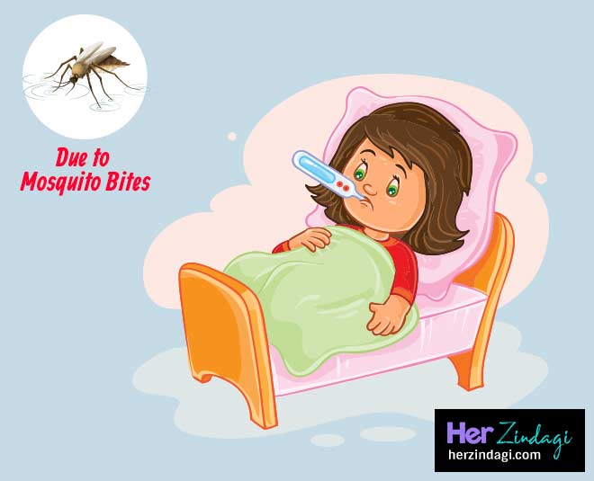 goat milk to treat dengue inside 